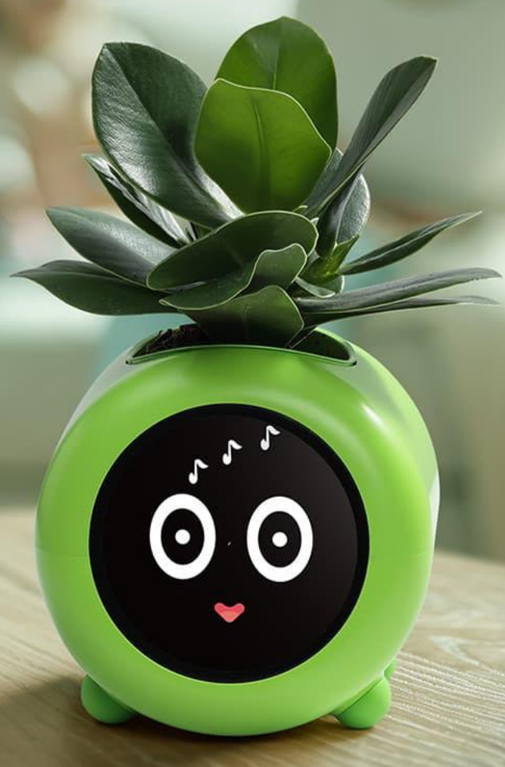  Smart Flowerpot